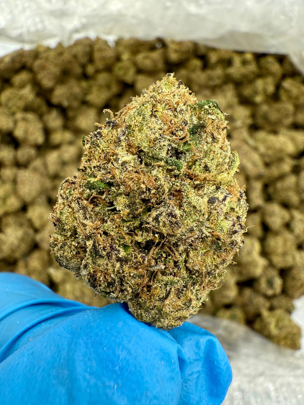 Blue Nerdz THCA Flower - Stoner Exotic