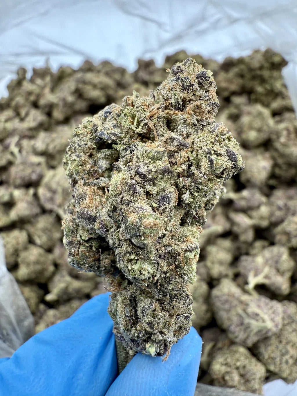 Diamonds THCA Flower - Stoner Exotic